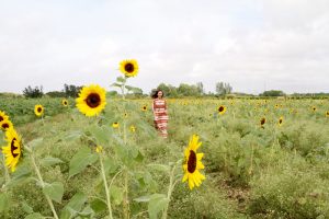 Wild and Free Maxi Dress