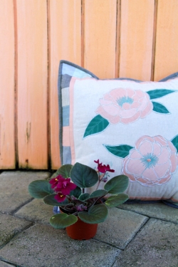 Garden Dreamer Pillows