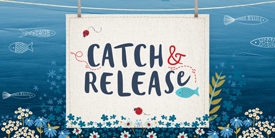 Catch &amp; Release by Mister Domestic