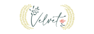 Velvet by Amy Sinibaldi Logo