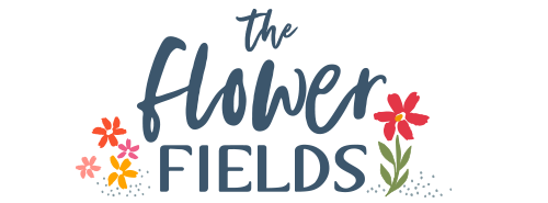 The Flower Fields from Maureen Cracknell