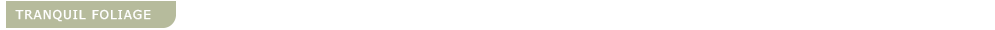 soar