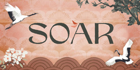 Soar_banner275px