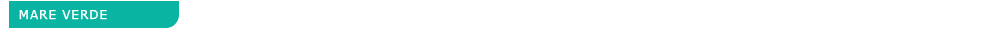 soar