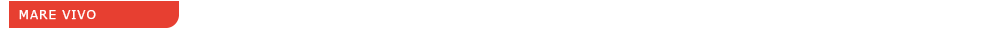 soar